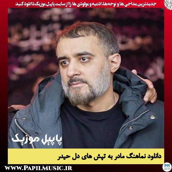 دانلود نماهنگ مادر به تپش های دل حیدر از محمد حسین پویانفر 5 دانلود نماهنگ مادر به تپش های دل حیدر از محمد حسین پویانفر